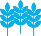 Valorisation de la production biologique